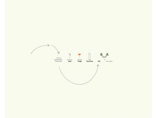 Infographic illustrating a product's lifecycle from raw materials to recycling, emphasizing sustainability